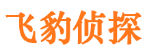 景东市侦探调查公司